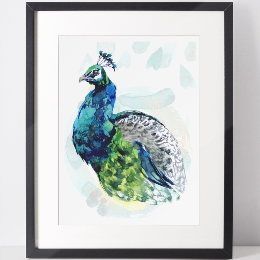 Watercolor Peacock Wall Art Illustration Print Poster Card Unframed - Picture 1 of 7